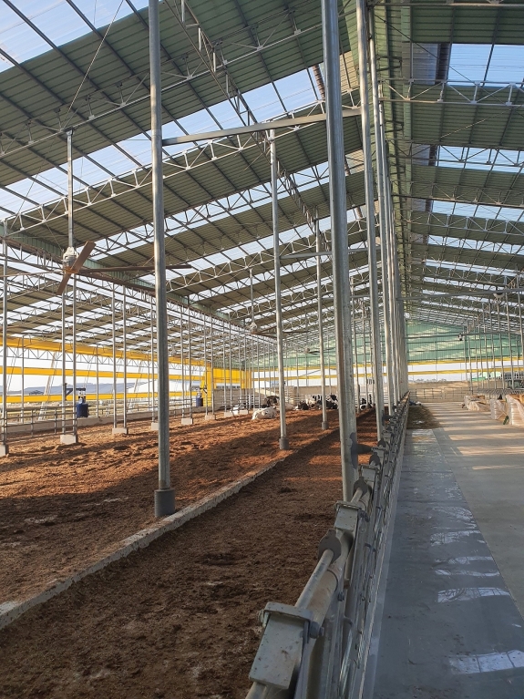 kakaotalk2021110209115593102