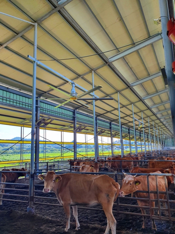 kakaotalk20220905151512925