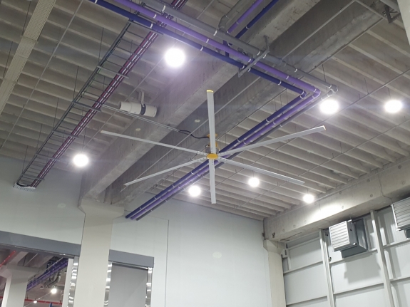 영종 아레나스1